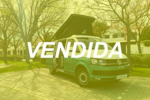Furgoneta volkswagen t6 verde segunda mano vendida