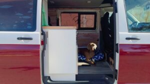 mascotas en camper